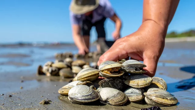 Fishing in South Finistère