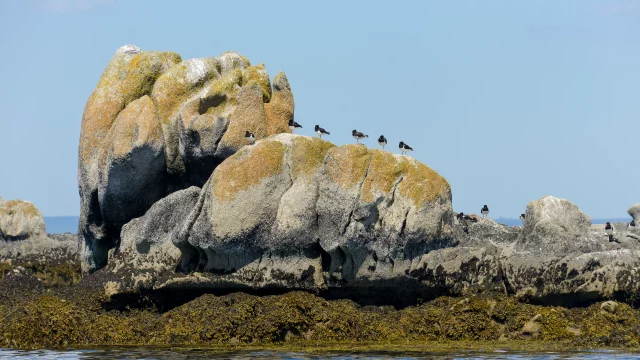 5 original ideas for walks around Fouesnant-Les Glénan